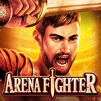 Arena Fighter game cover